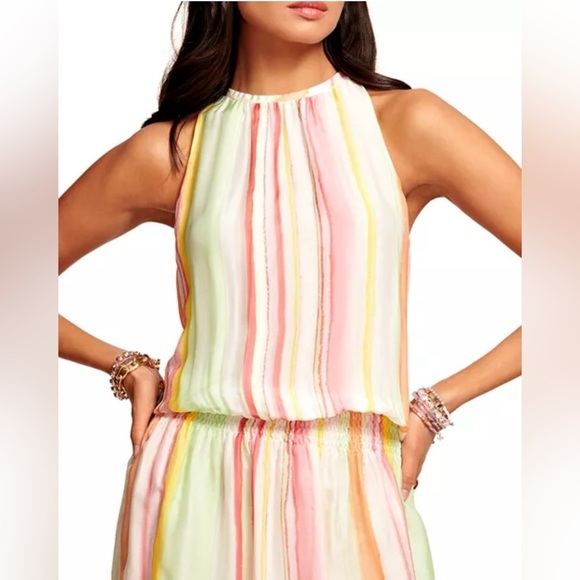 NEW WITH TAGS Ramy Brook Striped Paris Silk Chiffon Sleeveless Minidress~ Med - Picture 5 of 13